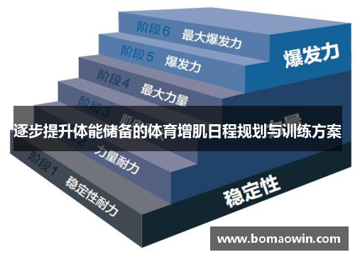 逐步提升体能储备的体育增肌日程规划与训练方案