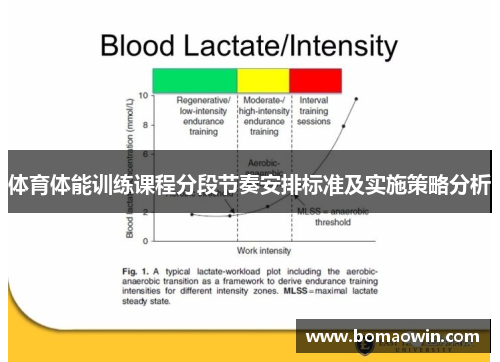 体育体能训练课程分段节奏安排标准及实施策略分析