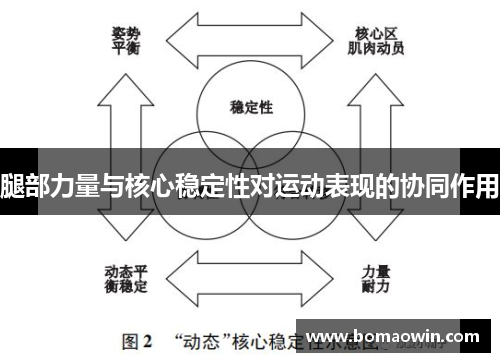 腿部力量与核心稳定性对运动表现的协同作用